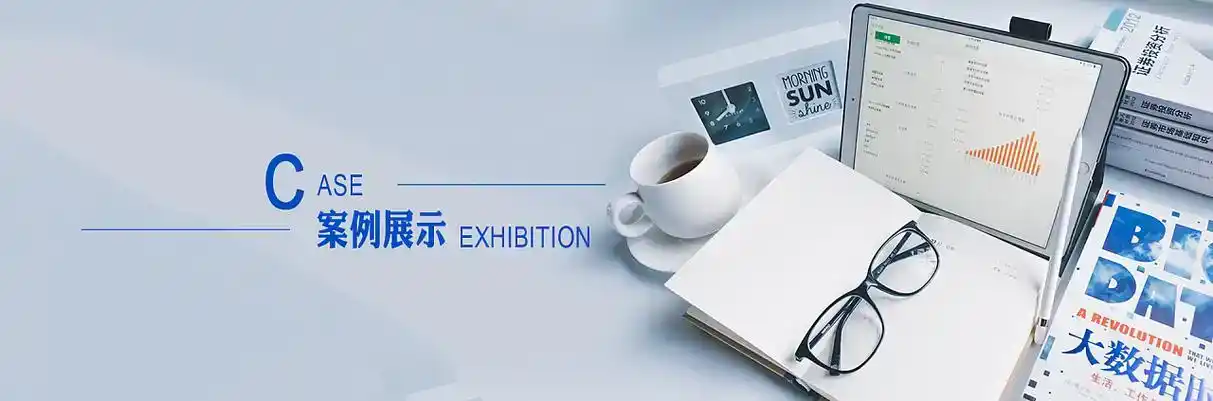 蒲县软件开发